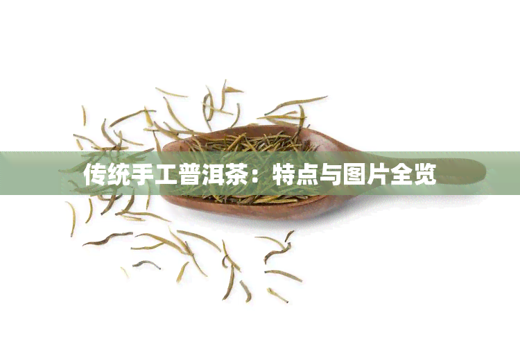 传统手工普洱茶：特点与图片全览