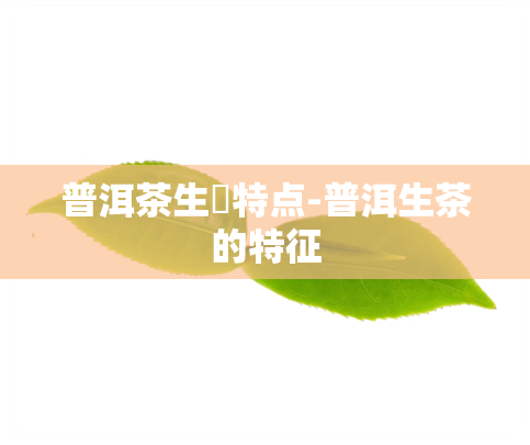 普洱茶生潽特点-普洱生茶的特征