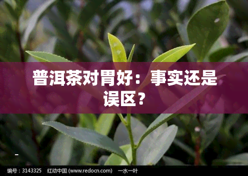 普洱茶对胃好：事实还是误区？