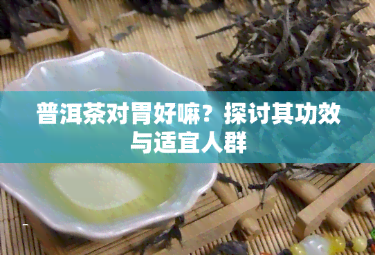 普洱茶对胃好嘛？探讨其功效与适宜人群