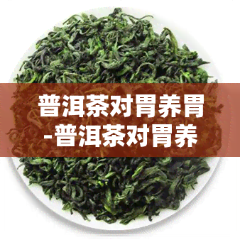 普洱茶对胃养胃-普洱茶对胃养胃有好处吗