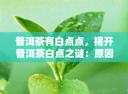 普洱茶有白点点，揭开普洱茶白点之谜：原因与品质影响