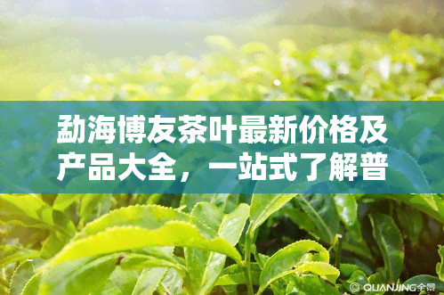 勐海博友茶叶最新价格及产品大全，一站式了解普洱茶系列