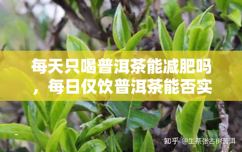 每天只喝普洱茶能减肥吗，每日仅饮普洱茶能否实现有效减肥？