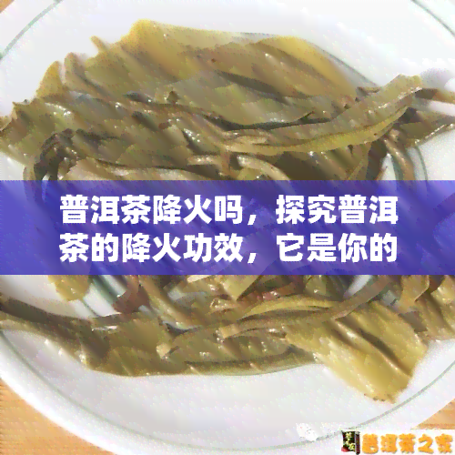 普洱茶降火吗，探究普洱茶的降火功效，它是你的日消暑良伴吗？