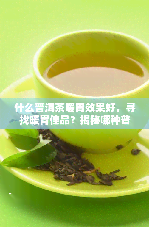 什么普洱茶暖胃效果好，寻找暖胃佳品？揭秘哪种普洱茶效果！