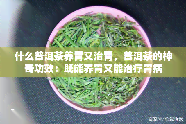 什么普洱茶养胃又治胃，普洱茶的神奇功效：既能养胃又能治疗胃病