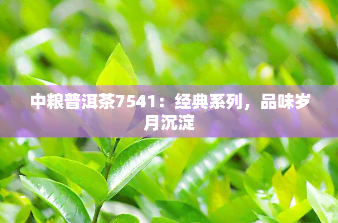 中粮普洱茶7541：经典系列，品味岁月沉淀