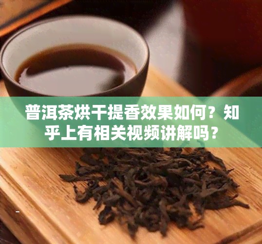 普洱茶烘干提香效果如何？知乎上有相关视频讲解吗？