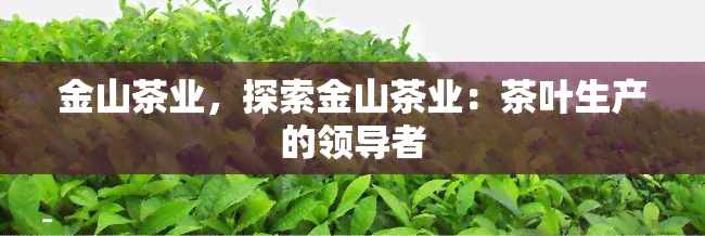 金山茶业，探索金山茶业：茶叶生产的领导者