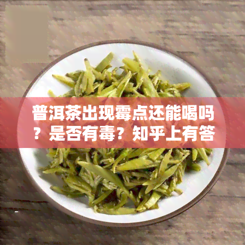 普洱茶出现霉点还能喝吗？是否有？知乎上有答案