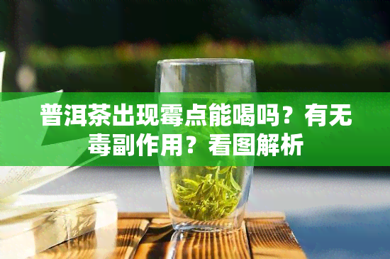 普洱茶出现霉点能喝吗？有无副作用？看图解析