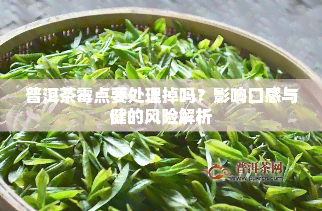 普洱茶霉点要处理掉吗？影响口感与健的风险解析