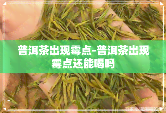 普洱茶出现霉点-普洱茶出现霉点还能喝吗