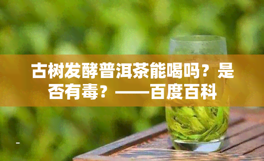 古树发酵普洱茶能喝吗？是否有？——百度百科