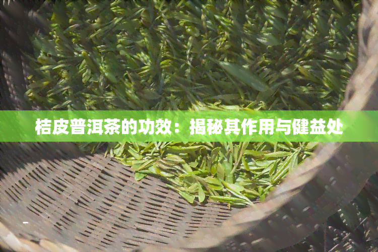 桔皮普洱茶的功效：揭秘其作用与健益处