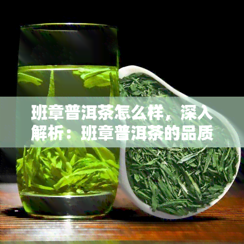 班章普洱茶怎么样，深入解析：班章普洱茶的品质与特点