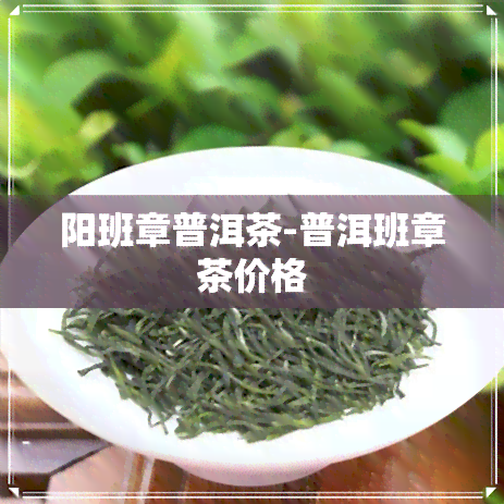 阳班章普洱茶-普洱班章茶价格