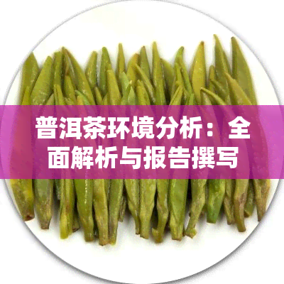 普洱茶环境分析：全面解析与报告撰写指南