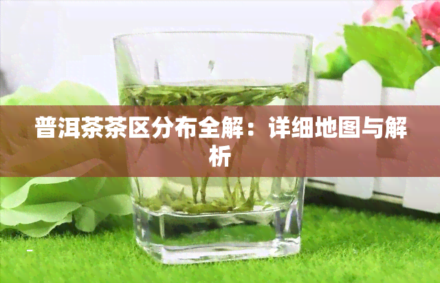 普洱茶茶区分布全解：详细地图与解析