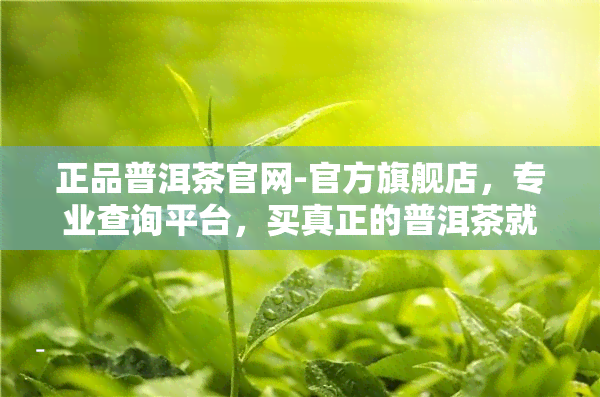 正品普洱茶官网-官方旗舰店，专业查询平台，买真正的普洱茶就上这里！