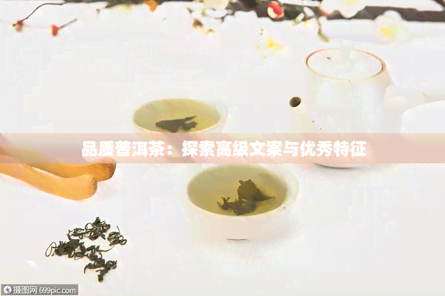 品质普洱茶：探索高级文案与优秀特征