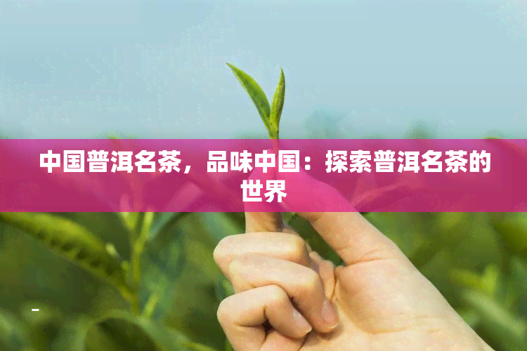 中国普洱名茶，品味中国：探索普洱名茶的世界