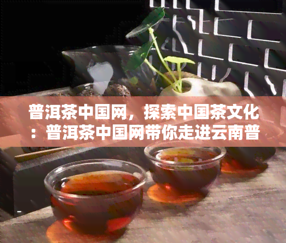 普洱茶中国网，探索中国茶文化：普洱茶中国网带你走进云南普洱的世界