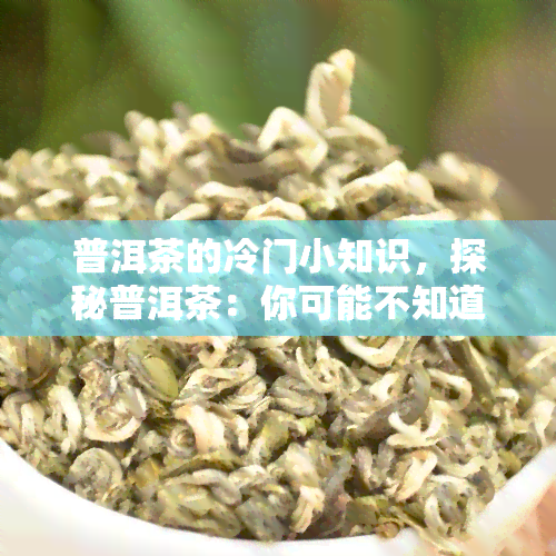 普洱茶的冷门小知识，探秘普洱茶：你可能不知道的冷门小知识