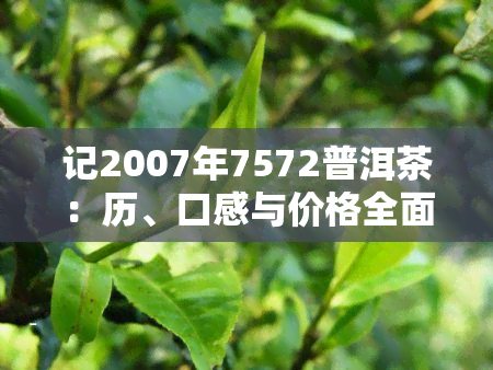 记2007年7572普洱茶：历、口感与价格全面解析