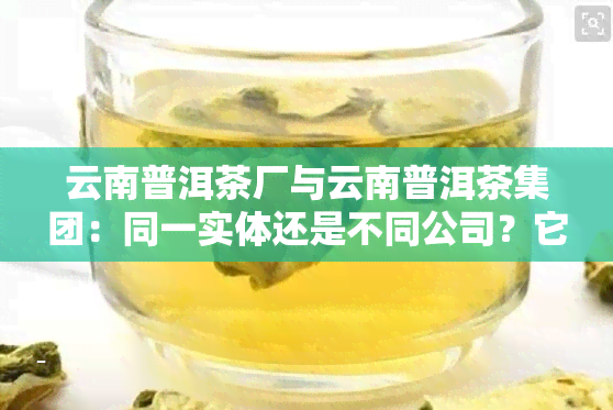 云南普洱茶厂与云南普洱茶集团：同一实体还是不同公司？它们之间的关系是什么？