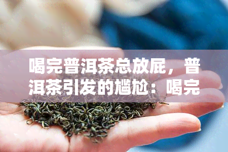 喝完普洱茶总放屁，普洱茶引发的尴尬：喝完为何会频繁放屁？