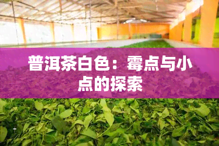 普洱茶白色：霉点与小点的探索