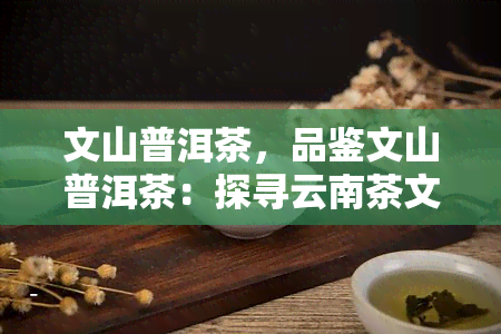 文山普洱茶，品鉴文山普洱茶：探寻云南茶文化的瑰宝