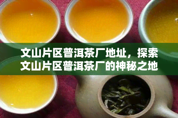 文山片区普洱茶厂地址，探索文山片区普洱茶厂的神秘之地：一场味蕾与视觉的宴