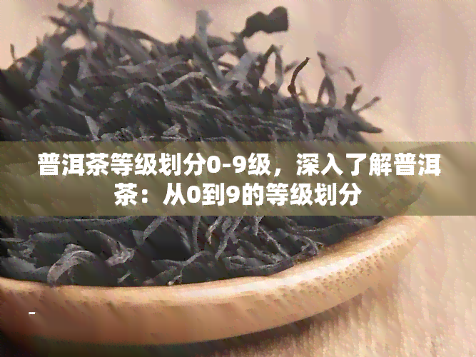 普洱茶等级划分0-9级，深入了解普洱茶：从0到9的等级划分