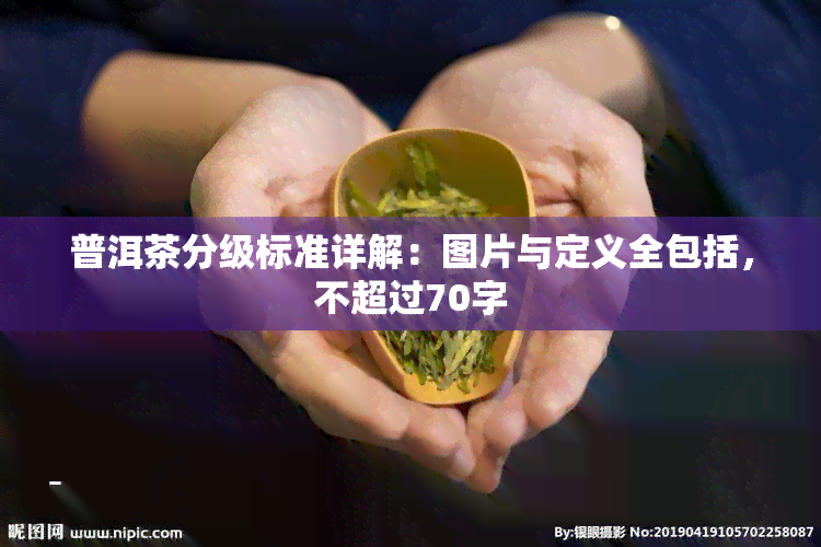 普洱茶分级标准详解：图片与定义全包括，不超过70字