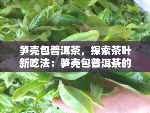 笋壳包普洱茶，探索茶叶新吃法：笋壳包普洱茶的独特魅力