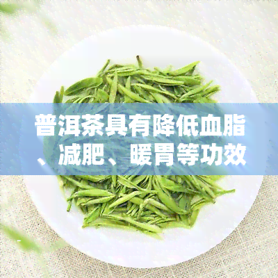 普洱茶具有降低血脂、减肥、暖胃等功效吗，探究普洱茶的神奇功效：降低血脂、减肥、暖胃！