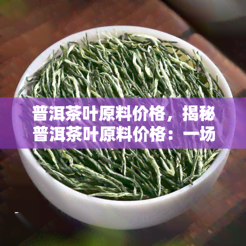 普洱茶叶原料价格，揭秘普洱茶叶原料价格：一场味蕾与钱包的较量