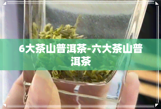 6大茶山普洱茶-六大茶山普洱茶