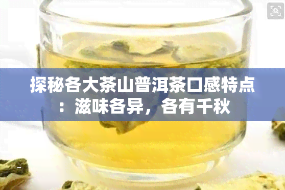 探秘各大茶山普洱茶口感特点：滋味各异，各有千秋