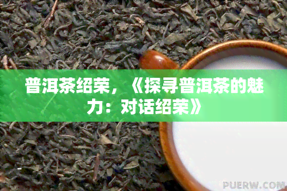 普洱茶绍荣，《探寻普洱茶的魅力：对话绍荣》