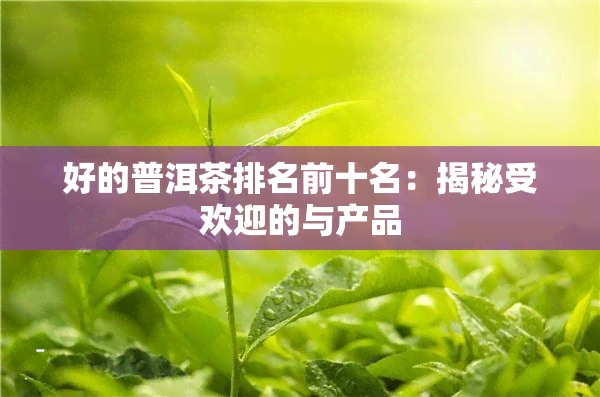 好的普洱茶排名前十名：揭秘受欢迎的与产品