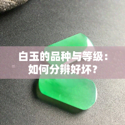 白玉的品种与等级：如何分辨好坏？