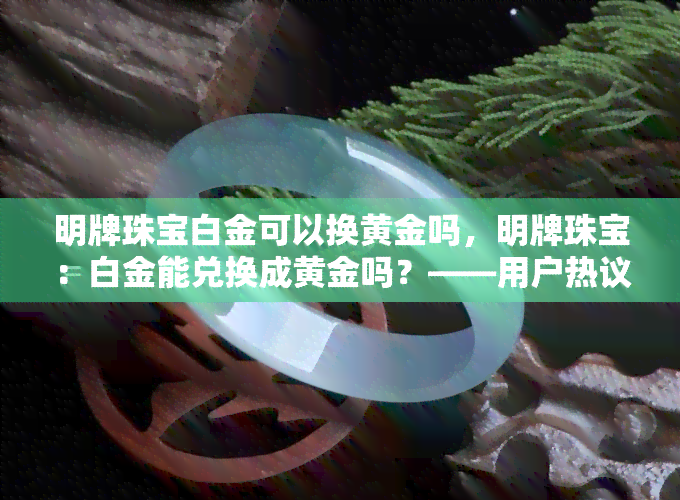 明牌珠宝白金可以换黄金吗，明牌珠宝：白金能兑换成黄金吗？——用户热议话题