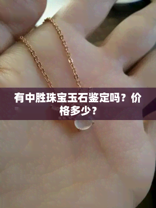 有中胜珠宝玉石鉴定吗？价格多少？