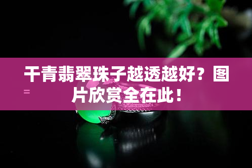 干青翡翠珠子越透越好？图片欣赏全在此！