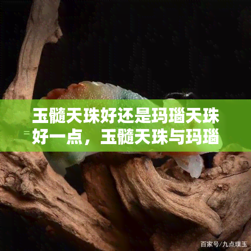 玉髓天珠好还是玛瑙天珠好一点，玉髓天珠与玛瑙天珠：哪个更好？