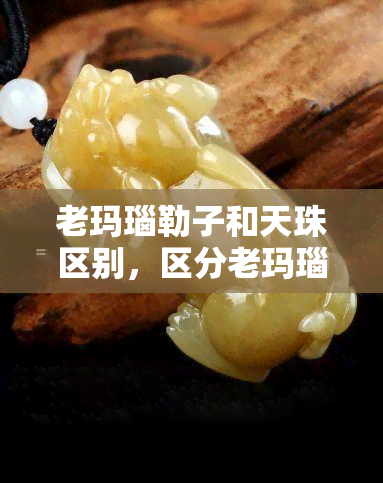 老玛瑙勒子和天珠区别，区分老玛瑙勒子与天珠：关键在于哪些细节？